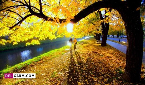  ایده عکس دو نفره عاشقانه در طبیعت