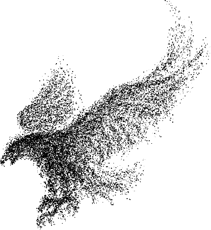  عکس عقاب