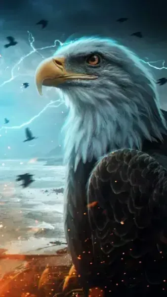 عکس عقاب