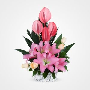 عکس سبد گل خواستگاری لوکس اینستا