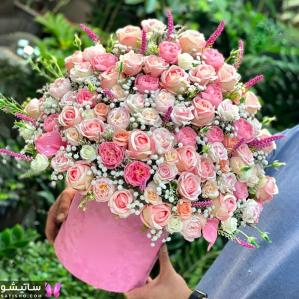 عکس گل خواستگاری طبیعی