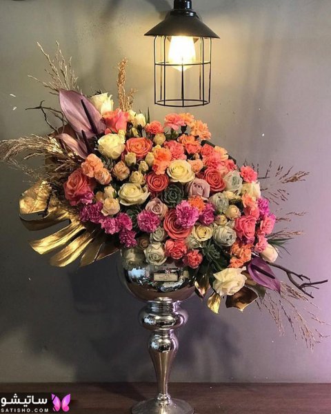 عکس گل خواستگاری طبیعی