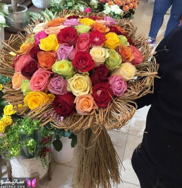 عکس گل خواستگاری طبیعی