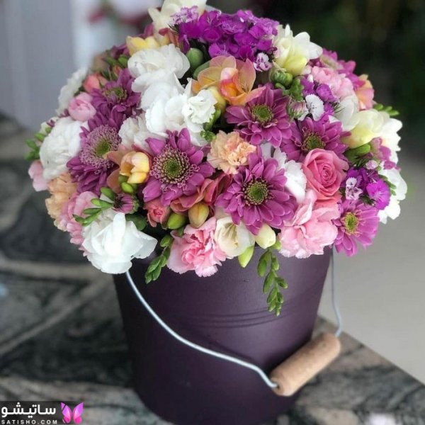 عکس گل خواستگاری طبیعی