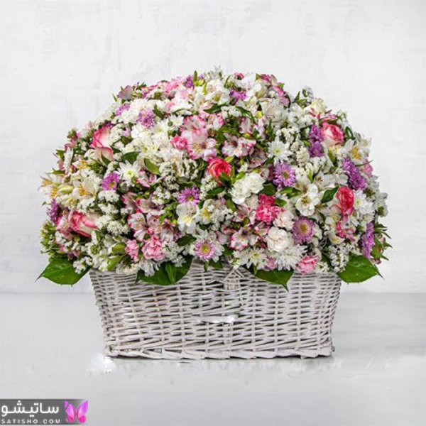 عکس گل خواستگاری طبیعی