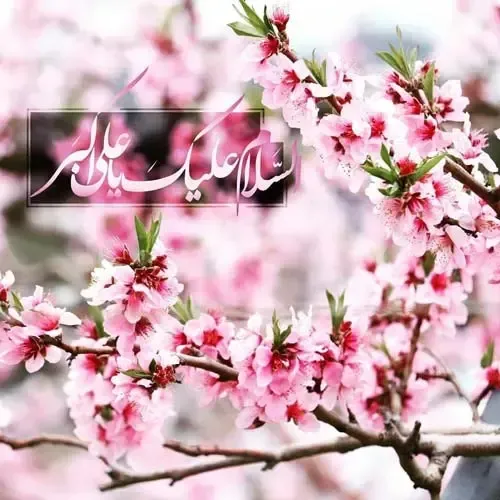  عکس نوشته تبریک روز جوان با کیفیت