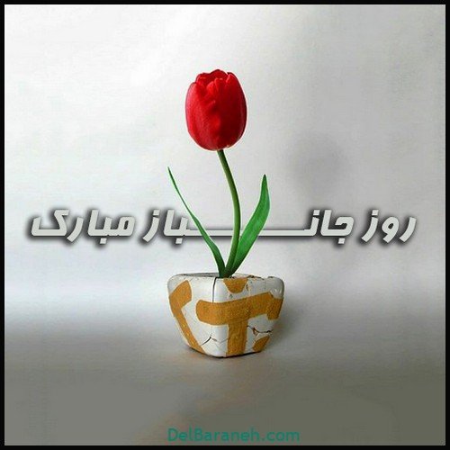 کلیپ روز جانباز