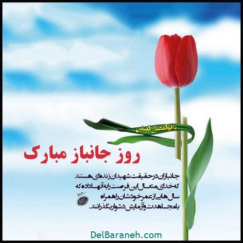 کلیپ روز جانباز