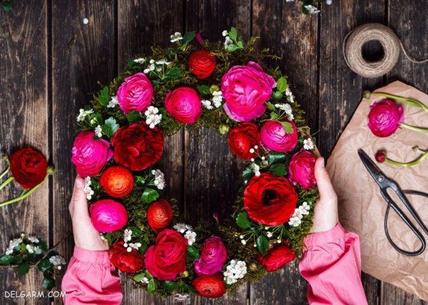  عکس انواع گل آلاله برای استوری