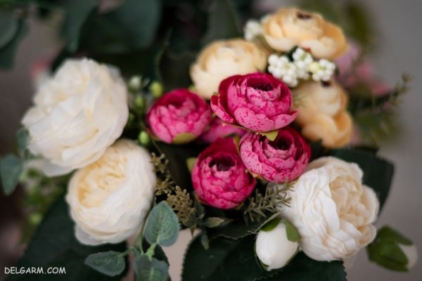  عکس انواع گل آلاله برای استوری