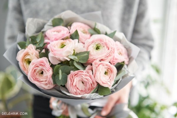 عکس گل آلاله کوهی