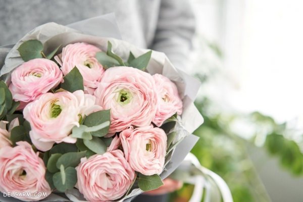  عکس گل آلاله کوهی