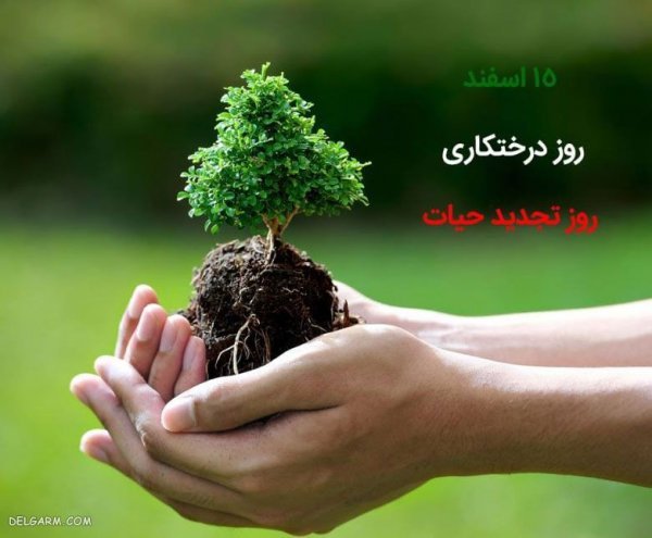  عکس نوشته برای روز درختکاری برای استوری