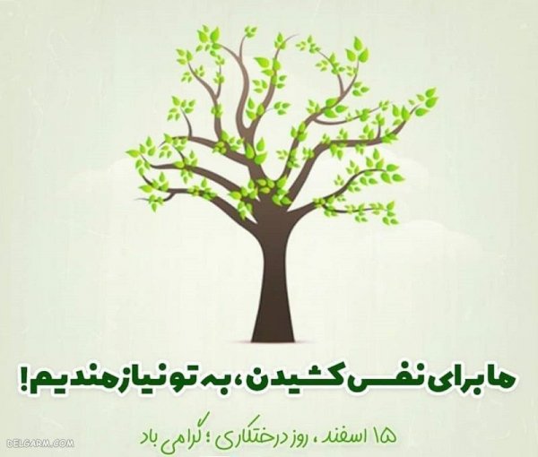  عکس روز درختکاری