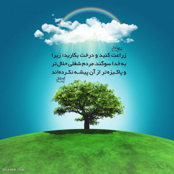  عکس روز درختکاری