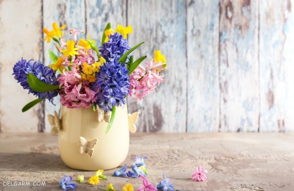 عکس گل سنبل وحشی
