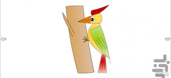  نقاشی دارکوب آسان