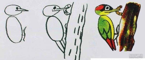 عکس دارکوب نقاشی