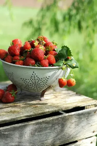 عکس توت فرنگی برای استوری