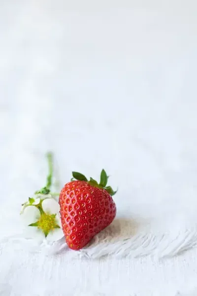 عکس توت فرنگی برای استوری