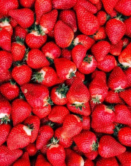 عکس توت فرنگی برای استوری