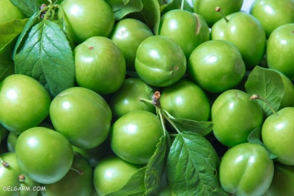  عکس گوجه سبز برای استوری