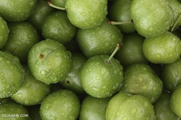  عکس گوجه سبز برای استوری