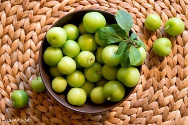 عکس گوجه سبز و لواشک
