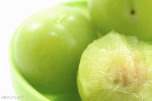  عکس گوجه سبز و لواشک