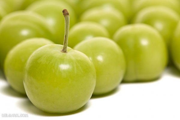  عکس گوجه سبز برای پروفایل