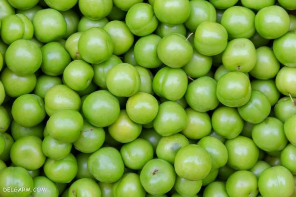  عکس گوجه سبز برای پروفایل