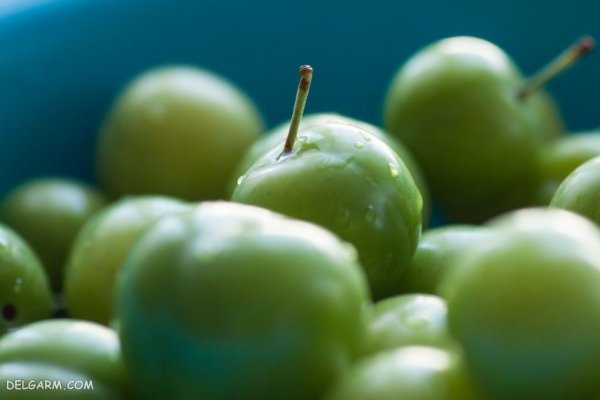  عکس گوجه سبز برای پروفایل