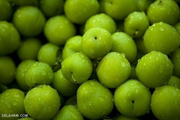 عکس گوجه سبز و چغاله خوشمزه