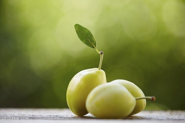 عکس گوجه سبز و چغاله خوشمزه