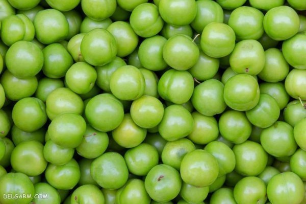 عکس گوجه سبز و چغاله خوشمزه