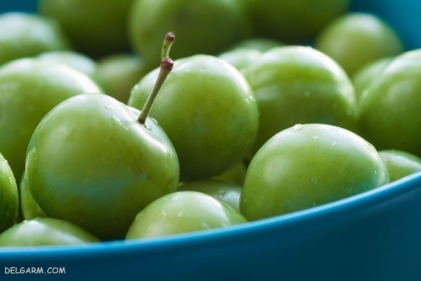 عکس گوجه سبز و چغاله خوشمزه