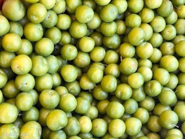 عکس گوجه سبز و چغاله خوشمزه