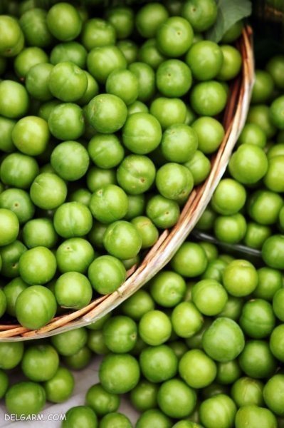 عکس گوجه سبز و چغاله خوشمزه