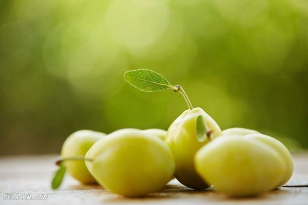 عکس گوجه سبز و چغاله خوشمزه