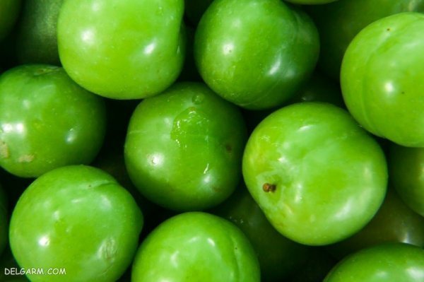 عکس گوجه سبز و چغاله خوشمزه