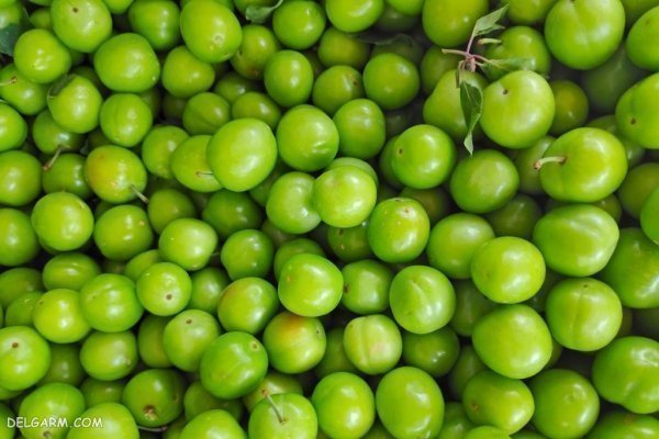 عکس گوجه سبز و چغاله خوشمزه