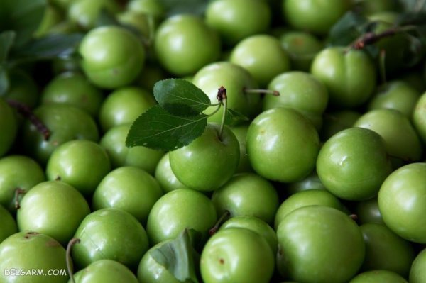 عکس گوجه سبز و چغاله خوشمزه