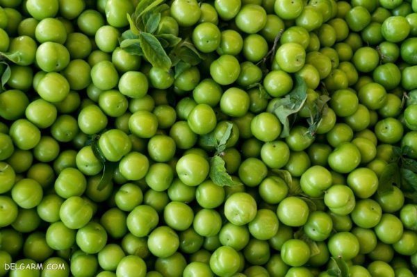 عکس گوجه سبز و چغاله خوشمزه