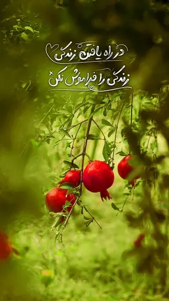 زیباترین عکس نوشته خدا