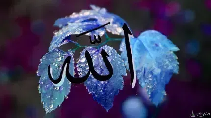 عکس اسم الله