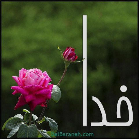  عکس اسم خدا برای استوری
