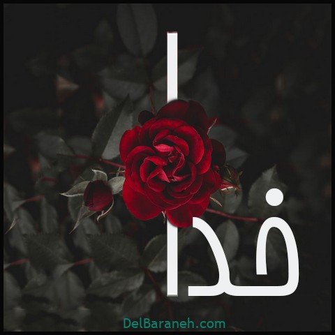  عکس اسم خدا برای استوری
