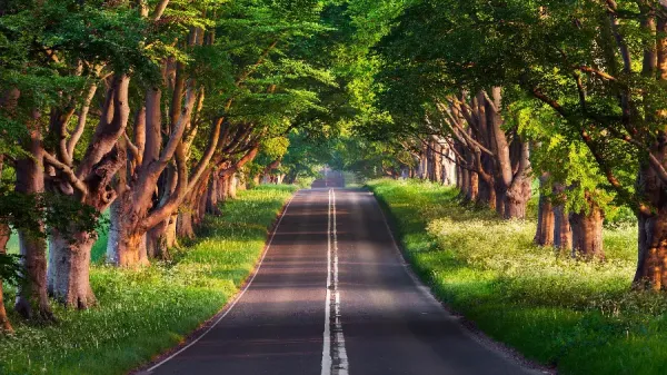  عکس لاکچری برای والپیپر دسکتاپ