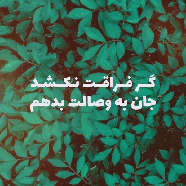  عکس نوشته لاکچری برای استوری