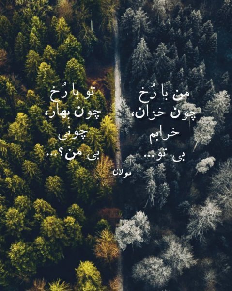  عکس نوشته لاکچری برای استوری